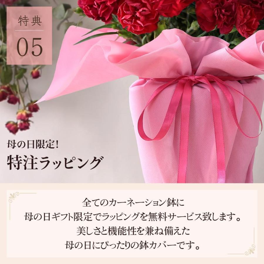 早割実施中 母の日 22 花 ギフト プレゼント 鉢植え カーネーション 5号鉢 花鉢 選べる12種類 定番 特典 ポーチ マスクケース おまけ付き イベントギフトf Event 006 Bunbun Bee 通販 Yahoo ショッピング