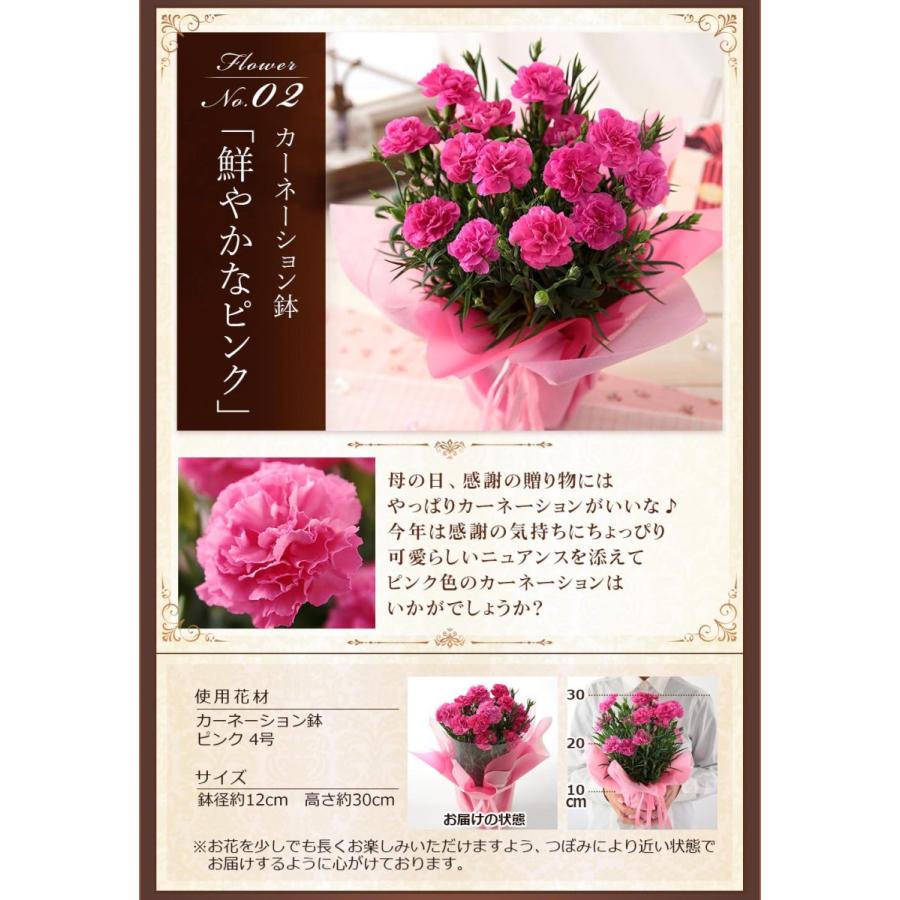 敬老の日 ギフト 花 スイーツ プレゼント 和菓子 セット 生花ミニブーケ 花束 造花アレンジメント 送料無料 イベントギフトg Event 007 Bunbun Bee 通販 Yahoo ショッピング