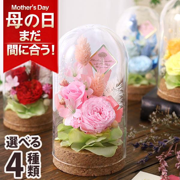 敬老の日 ギフト 花 プレゼント プリザーブドフラワー プリザーブドドーム イマージュ 女性 フラワー ガラスドーム イベントギフトe 21 Event 015 Bunbun Bee 通販 Yahoo ショッピング