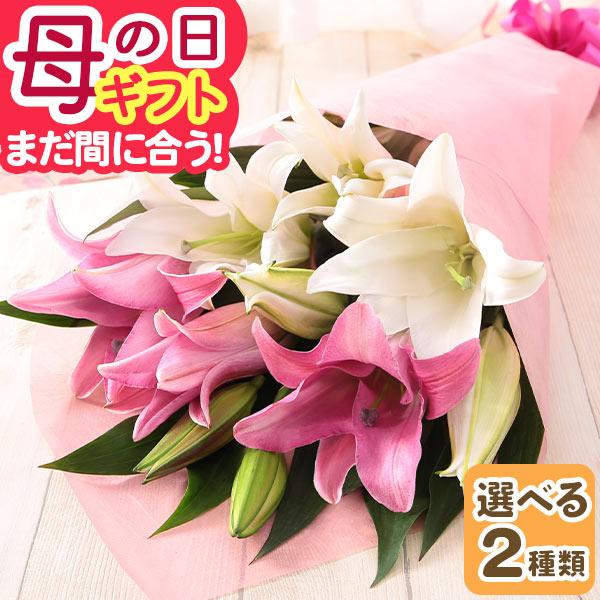 母の日 2026 ギフト プレゼント 花 花束 ブーケ ユリ ゆり 百合 オリエンタルリリー 送料無料 イベントギフトY ポイント利用（Yahoo!・BunBun!Bee）