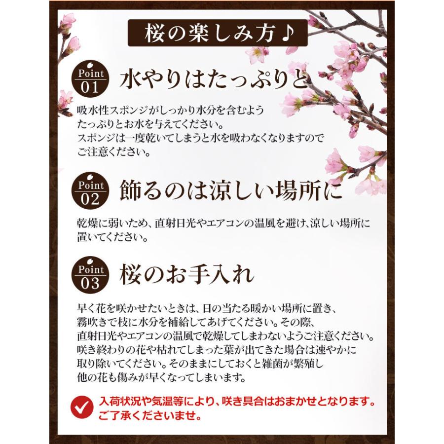 桜 花 誕生日 プレゼント ギフト あすつく 14時まで 早春の桜アレンジ 優しい春の時間 送料無料 生花 お花 女性 お祝い 春の花 K Spr 018yh Bunbun Bee 通販 Yahoo ショッピング