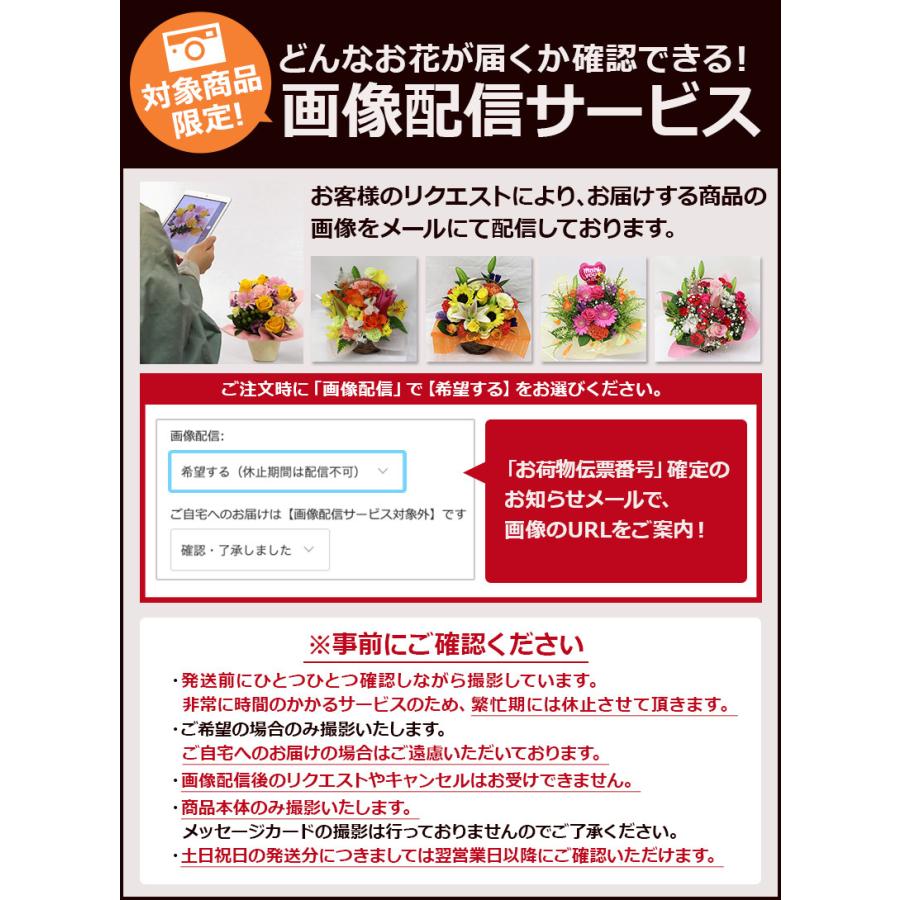 経典 花 誕生日 プレゼント ギフト あすつく 14時まで おまかせアレンジメント Sサイズ 送料無料 生花 お花 女性 バラ ヒマワリ ユリ バルーン お祝い Aynaelda Com