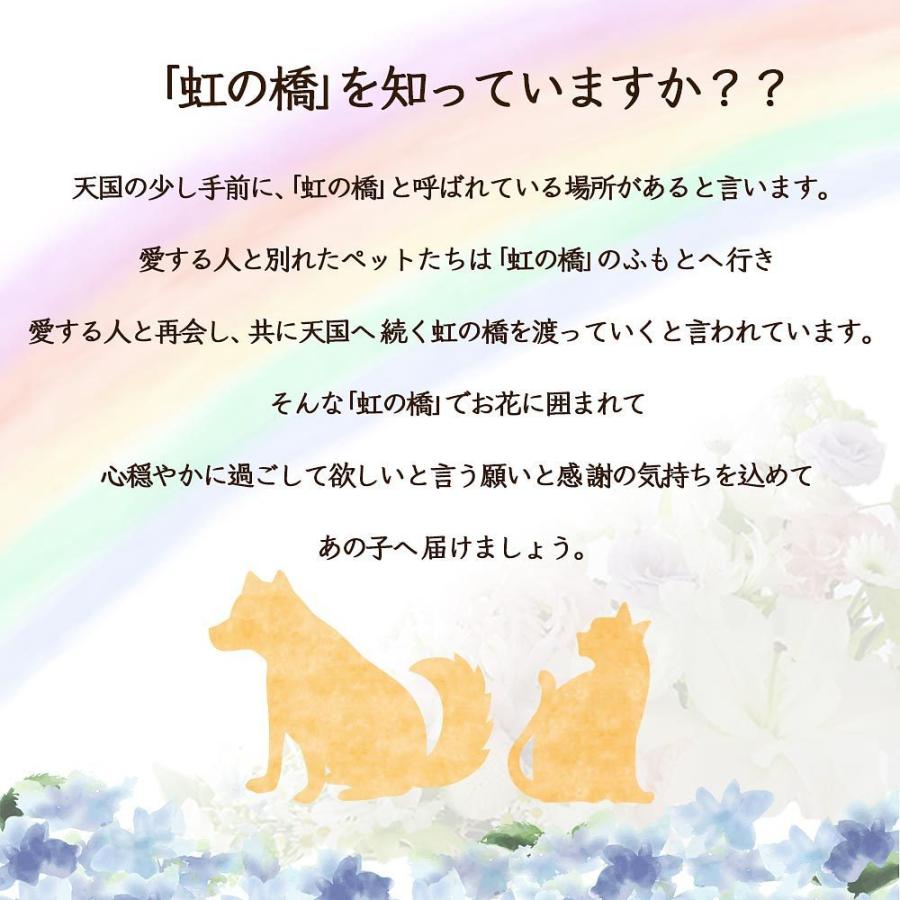 1194円 73 以上節約 あすつく 14時まで 花 ペット お悔やみ 供養 メモリアル アレンジ 送料無料 虹の橋 命日 誕生日 ギフト プレゼント お供え お盆 仏花 供花 お彼岸 四十九日