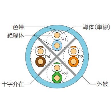 通信興業 CAT6 単線LANケーブル (1箱300m巻き) TSUNET-1000E AWG24-4P