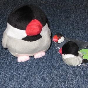 栄商 ムニュマムm文鳥 ぬいぐるみ Fd101 文鳥屋 通販 Yahoo ショッピング