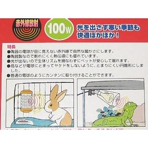 マルカン】100Wセラミック保温電球（交換用） : 文鳥屋 - 通販