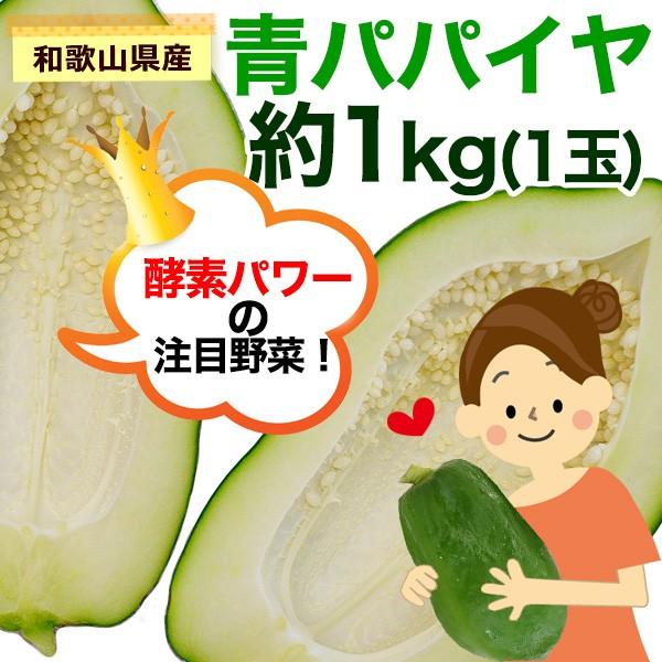 ご予約開始 無農薬栽培 和歌山県産 青パパイヤ 約1kg（1玉）パパイン酵素たっぷり！効能たっぷり！　※発送期間：9月上旬〜11月下旬頃まで(fy2)｜bundara｜02