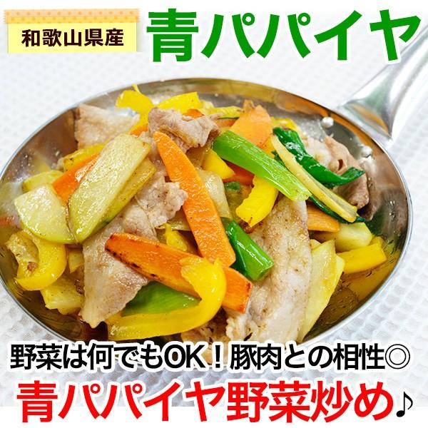 和歌山県産 青パパイヤ 約1kg 1玉 パパイン酵素たっぷり 効能たっぷり Fy2 Aopapaiya1 紀州ふみこ農園 通販 Yahoo ショッピング