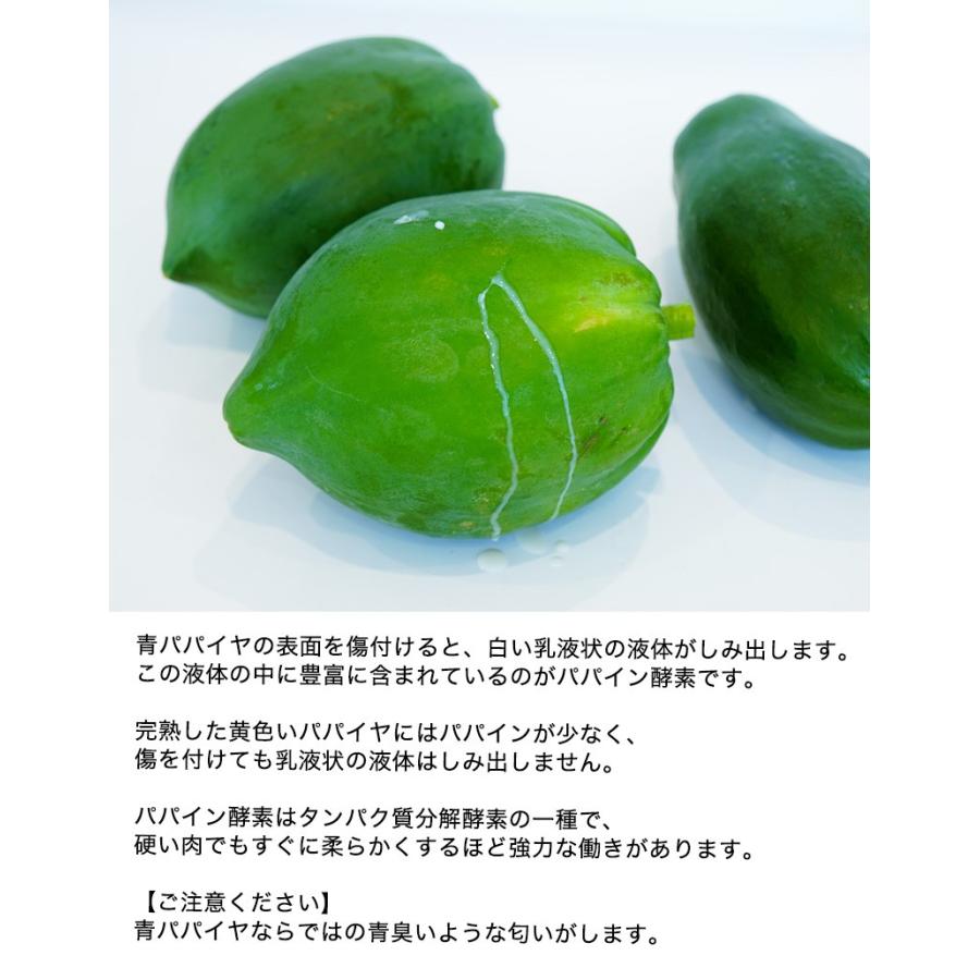 無農薬栽培 和歌山県産 青パパイヤ 約1kg 1玉 パパイン酵素たっぷり 効能たっぷり 発送期間 9月上旬 11月下旬頃まで Fy2 Aopapaiya1 紀州ふみこ農園 通販 Yahoo ショッピング