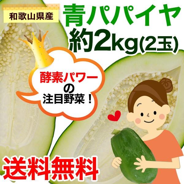 ご予約開始 無農薬栽培 和歌山県産 青パパイヤ 約2kg（2玉）パパイン