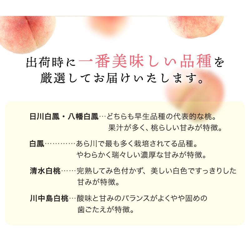 お中元 ギフト 御中元 中元  お持たせ 手土産 ブランド桃 和歌山県産あら川の桃 約2kg 選べる5〜6玉 or 8玉 旬の美味しさを産地直送！ 送料無料 (fy7)｜bundara｜06