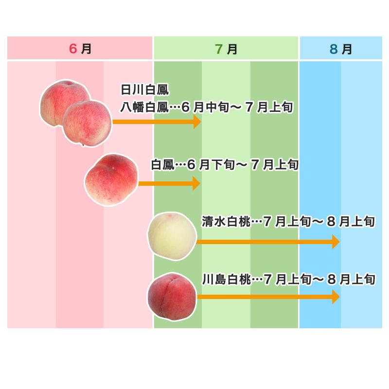 八幡 2026年 ご予約受付中 お中元 ギフト 御中元 お持たせ 手土産