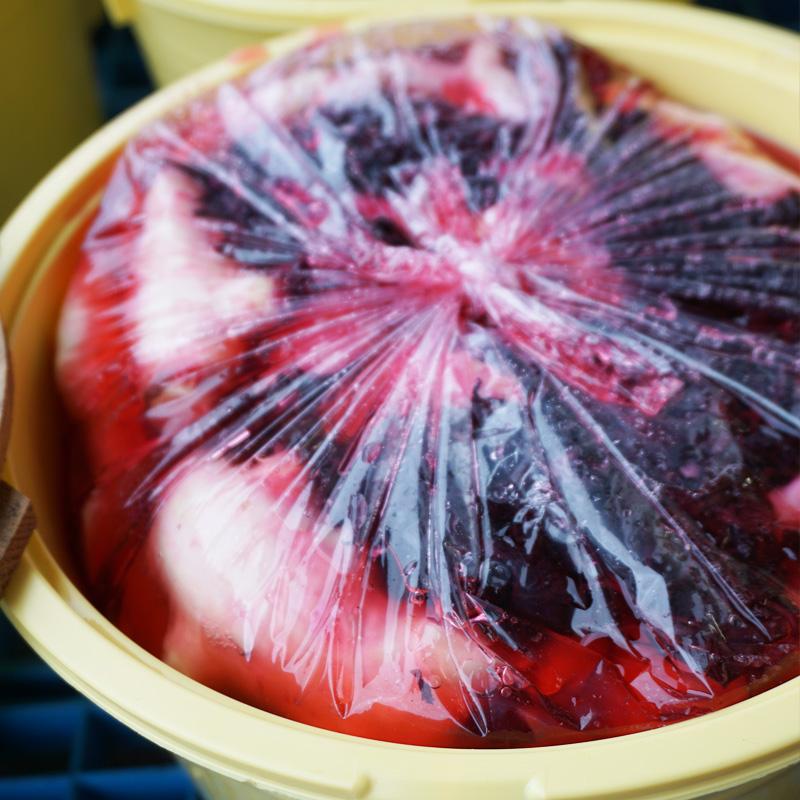 紀州ふみこの紅生姜600g 固形500g 和歌山県産の新生姜だけを使用した手作り紅しょうが Beni2 紀州ふみこ農園 通販 Yahoo ショッピング