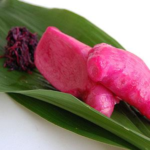 紀州ふみこの紅生姜300g (固形150g)|bundara|03