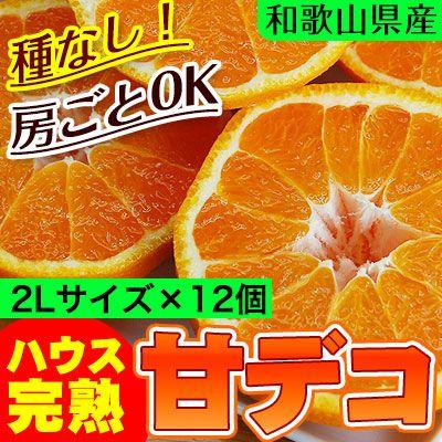 不知火 デコポン ハウス栽培の完熟デコポン 甘デコ 和歌山県産 送料無料 2ｌサイズ12玉入 約3kg 種なし 房ごとｏｋ Fy6 Dekopon2 紀州ふみこ農園 通販 Yahoo ショッピング