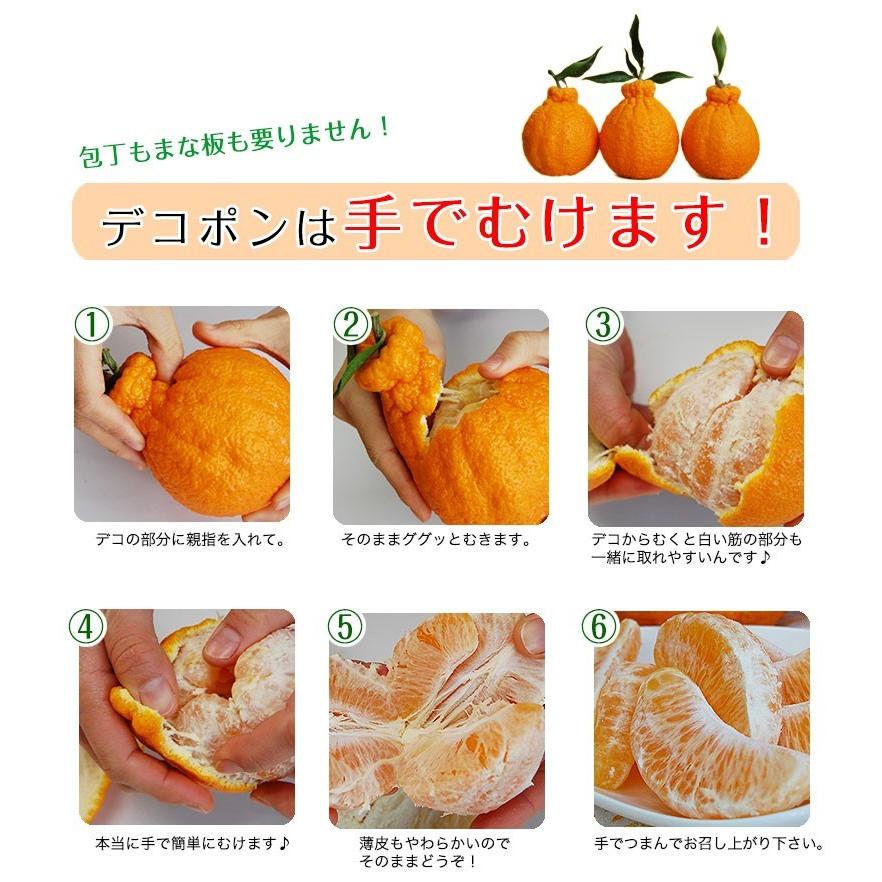 不知火 デコポン ハウス栽培の完熟デコポン 甘デコ 和歌山県産 送料無料 葉付き驚きの5ｌサイズ7玉入 約3kg 種なし 房ごとｏｋ Fy6 Dekopon5l 紀州ふみこ農園 通販 Yahoo ショッピング