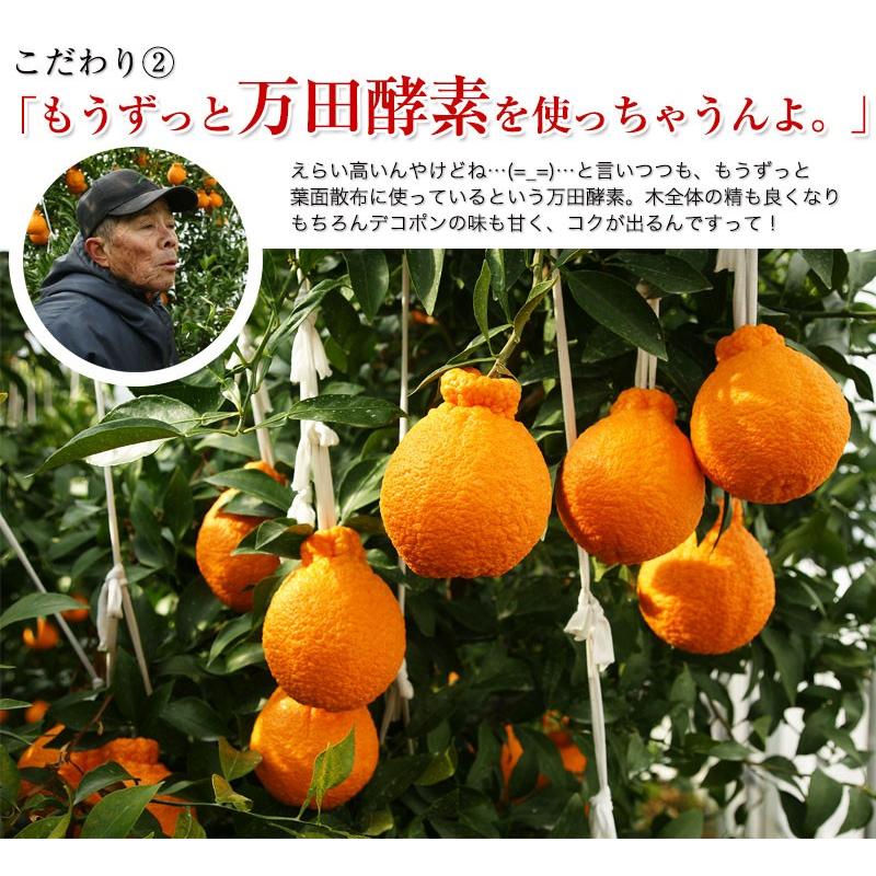 不知火 デコポン ハウス栽培の完熟デコポン 甘デコ 和歌山県産 送料無料 葉付き驚きの5ｌサイズ7玉入 約3kg 種なし 房ごとｏｋ Fy6 Dekopon5l 紀州ふみこ農園 通販 Yahoo ショッピング