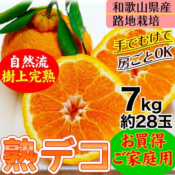 22年ご予約開始 ご家庭用 不知火 デコポン 露地栽培の樹上完熟デコポン 熟デコ 和歌山県産 送料無料 サイズ不揃い 多少の傷有り 7kg 約28玉 Fy7 みかん 柑橘類 北海道 沖縄へのお届けは別途送料を頂戴致します 了承済み