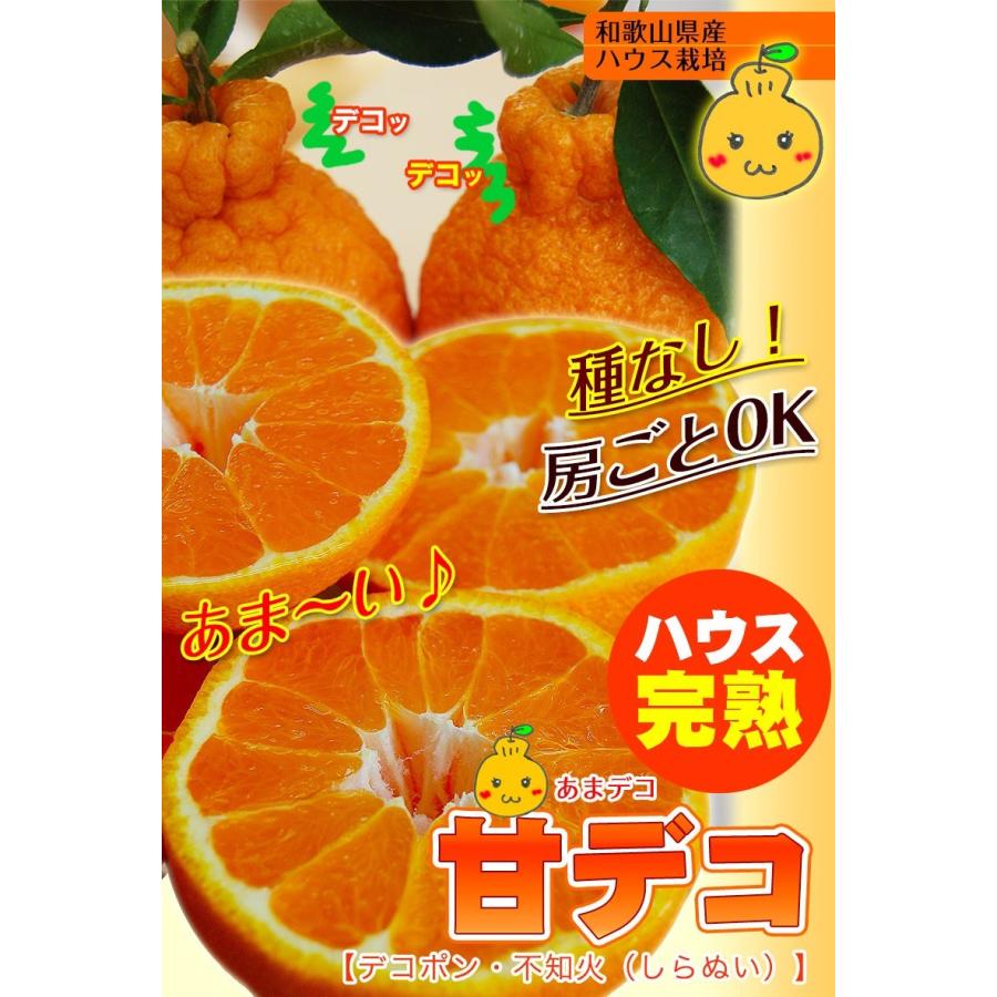 不知火 デコポン ハウス栽培の完熟デコポン 甘デコ 和歌山県産 送料無料 3ｌサイズ10玉入 約3kg 種なし 房ごとｏｋ Fy6 Dekopon 紀州ふみこ農園 通販 Yahoo ショッピング