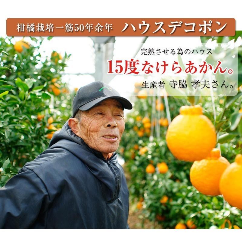 不知火 デコポン ハウス栽培の完熟デコポン 甘デコ 和歌山県産 送料無料 3ｌサイズ10玉入 約3kg 種なし 房ごとｏｋ Fy6 Dekopon 紀州ふみこ農園 通販 Yahoo ショッピング