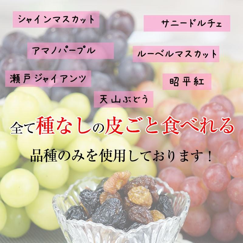 内祝い ギフト 無添加 国産干しブドウ(干し蒲萄)50gシャインマスカット