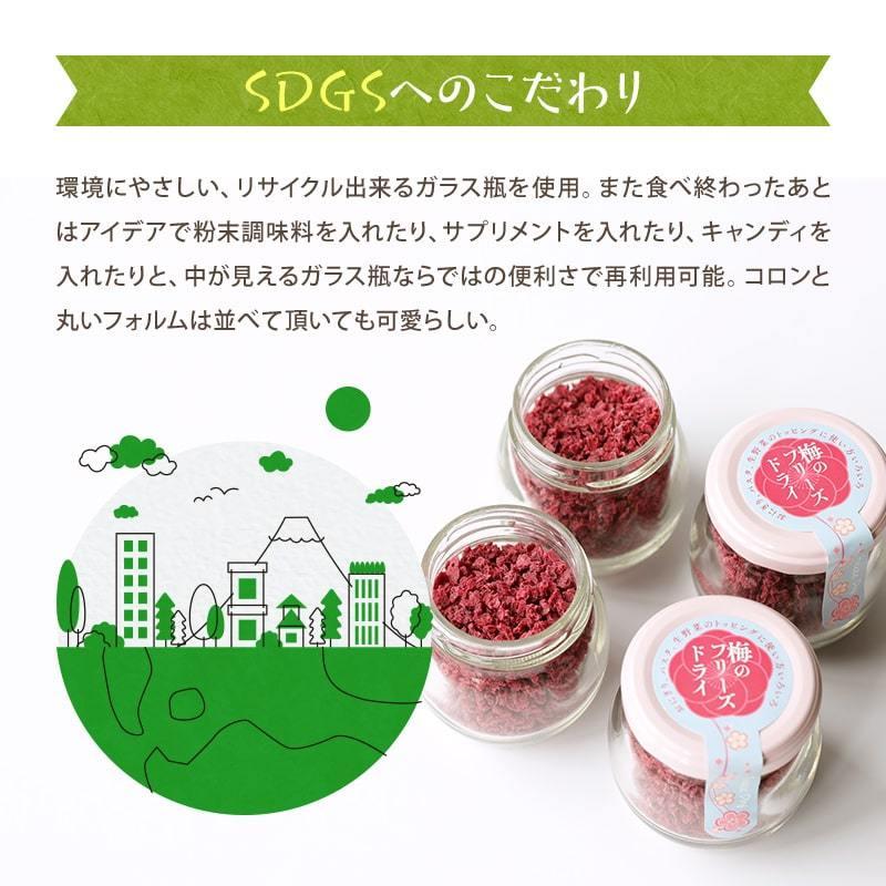 梅のフリーズドライ 40g 紀州南高梅 乾燥梅肉 梅100 ふりかけフリーズドライ梅 梅加工品 プチギフト お配り物にも可愛い Fy2 Dryume 紀州ふみこ農園 通販 Yahoo ショッピング