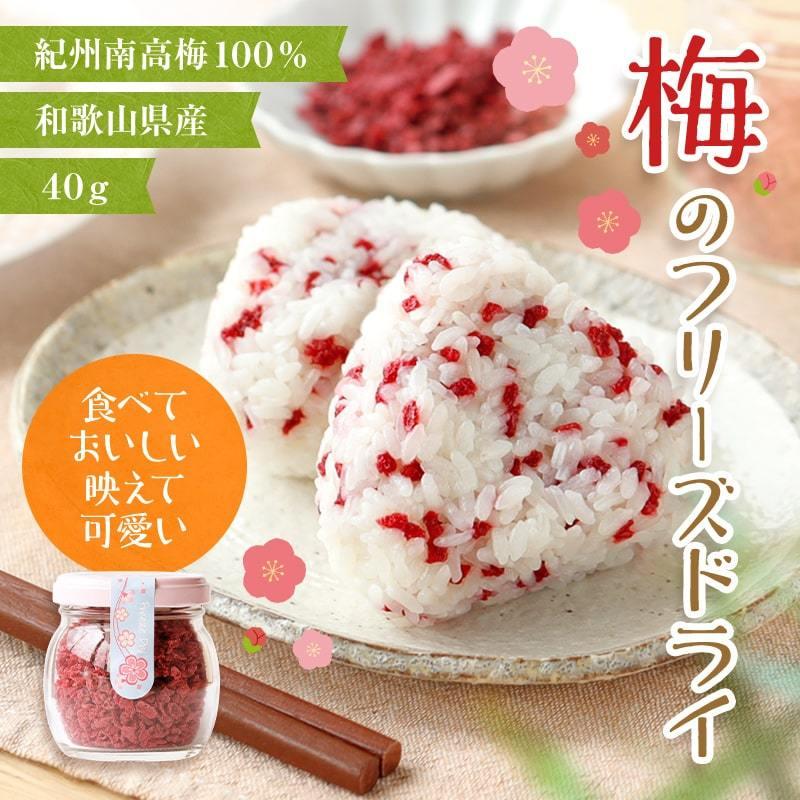 梅のフリーズドライ 40g 紀州南高梅 乾燥梅肉 梅100 ふりかけフリーズドライ梅 梅加工品 プチギフト お配り物にも可愛い Fy2 Dryume 紀州ふみこ農園 通販 Yahoo ショッピング