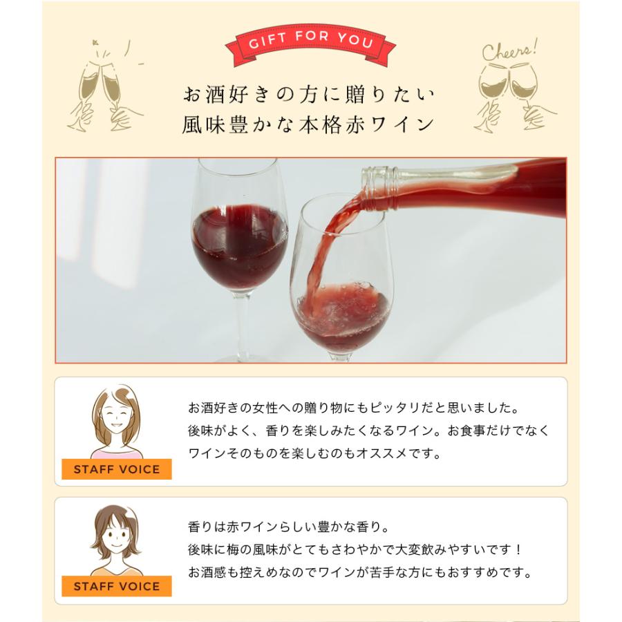 内祝 プチギフト 紀州南高梅 赤ワイン 和歌山フルーツワイン 375ml アルコール分7度 国産白ワイン お酒 果実酒 リキュール ワイン Fy3 Fruitwineume Aka 紀州ふみこ農園 通販 Yahoo ショッピング