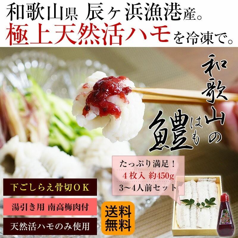 極上天然活鱧 ハモ 骨切り済みを新鮮なまま冷凍で たっぷり3 4人前 4枚入 約450g チューブ入南高梅肉170g付 元気いただきますプロジェクト Fy5 Hamo 紀州ふみこ農園 通販 Yahoo ショッピング
