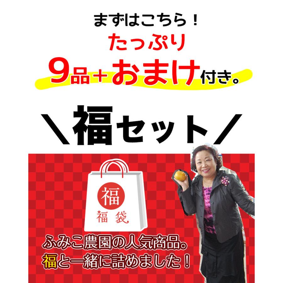 爆買 新春 福袋 2026 選べる福袋 送料無料 期間限定 詰め合わせ 新年