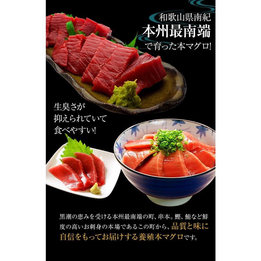激安単価で 串本産 養殖 本まぐろ トロ 赤身セット 赤身 150g以内 トロ350g以上 サクの状態で3 4袋でお届け 真空包装 Fy8 第1位獲得 Test Pendarnet Com
