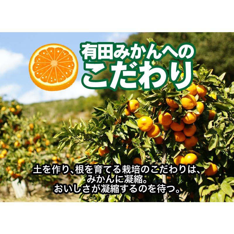 2025年 ご予約開始 お歳暮 2025 冬ギフト プレゼント ギフト みかん 有田みかん 50〜60玉(約3kg) 木箱入り 豪華 完熟みかん 送料無料 |  | 10