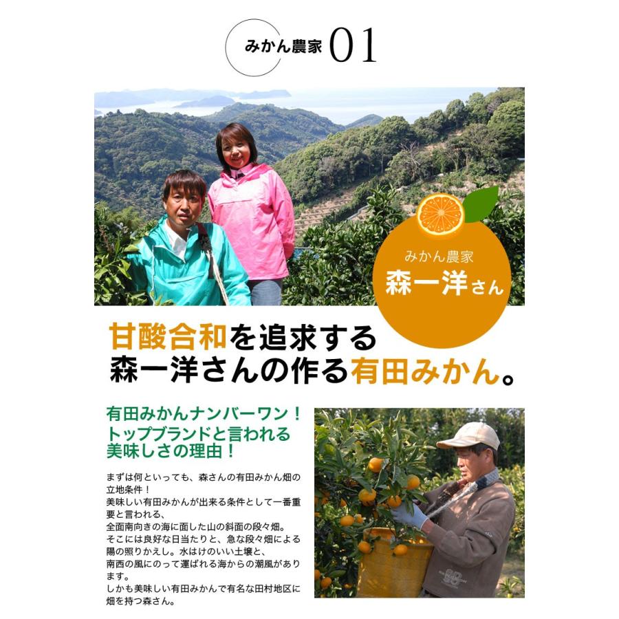 ご予約開始 御歳暮 ギフト みかん お歳暮 ギフト 有田みかん 50〜60玉(約3.3kg) 木箱入り 豪華 完熟みかん 送料無料　(fy5)｜bundara｜13