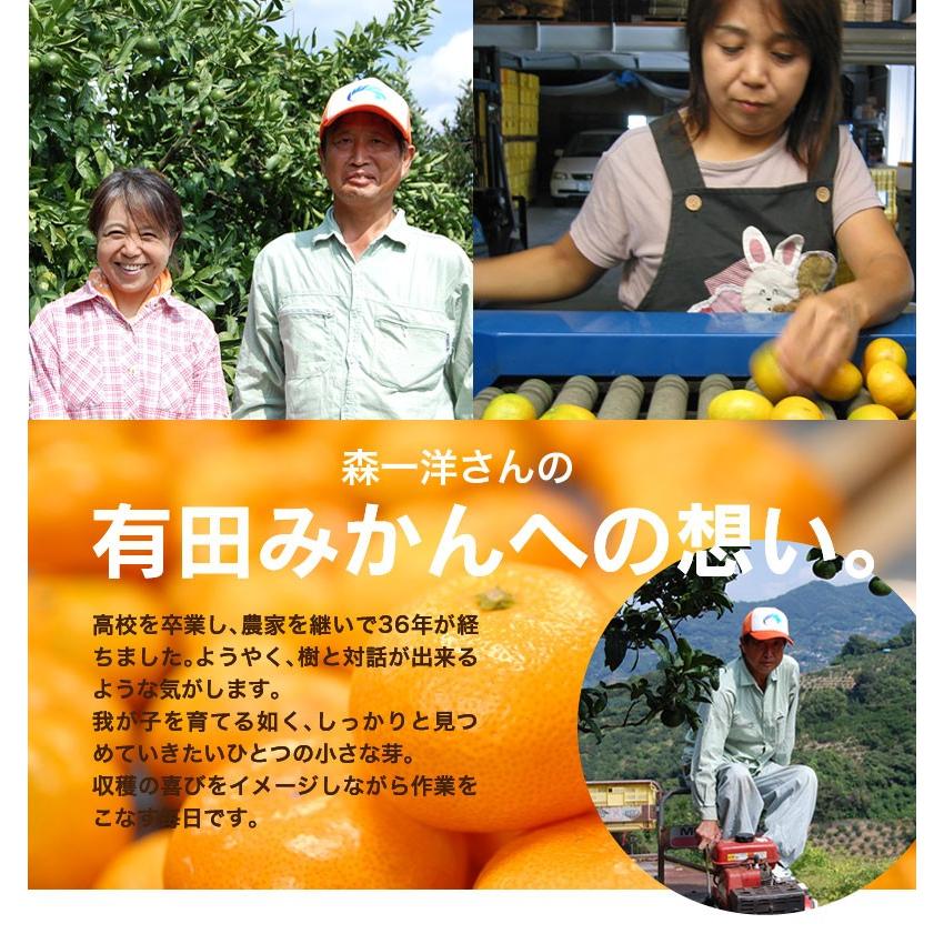 2025年 ご予約開始 お歳暮 2025 冬ギフト プレゼント ギフト みかん 有田みかん 50〜60玉(約3kg) 木箱入り 豪華 完熟みかん 送料無料 |  | 13