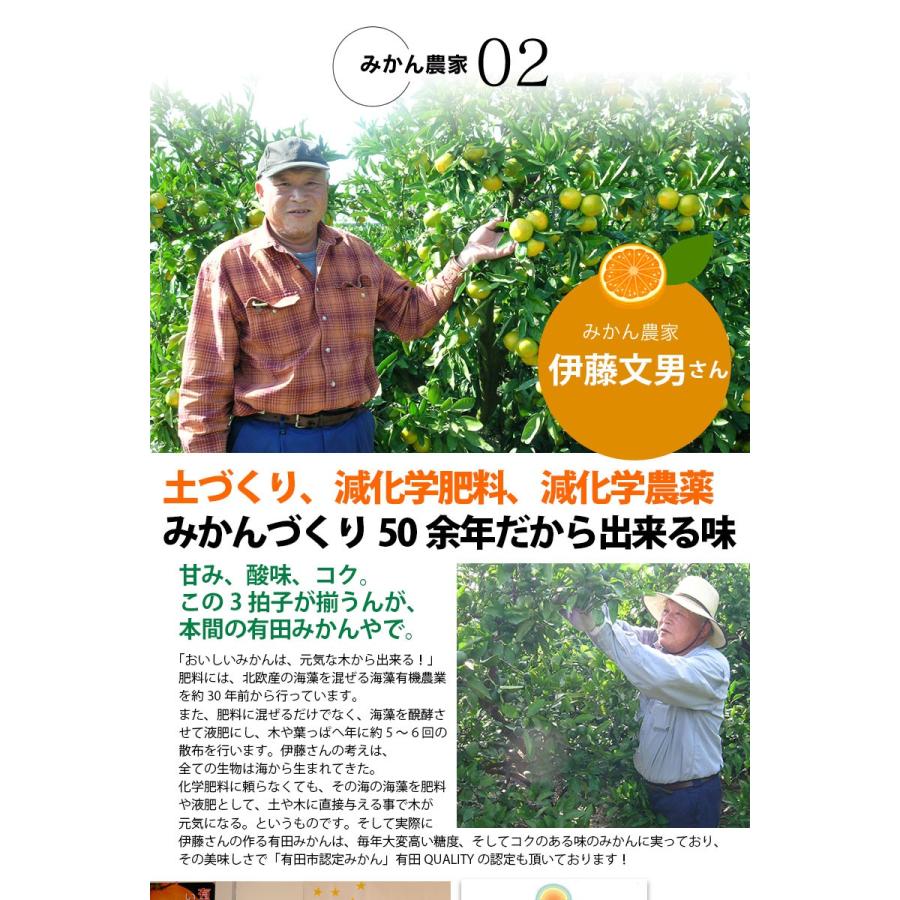 2025年 ご予約開始 お歳暮 2025 冬ギフト プレゼント ギフト みかん 有田みかん 50〜60玉(約3kg) 木箱入り 豪華 完熟みかん 送料無料 |  | 14