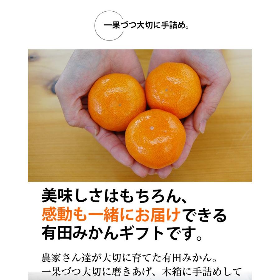 ご予約開始 御歳暮 ギフト みかん お歳暮 ギフト 有田みかん 50〜60玉(約3.3kg) 木箱入り 豪華 完熟みかん 送料無料　(fy5)｜bundara｜17