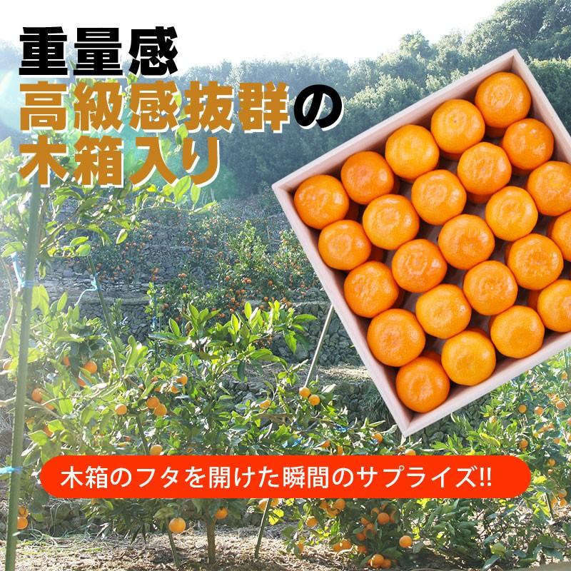 2025年 ご予約開始 お歳暮 2025 冬ギフト プレゼント ギフト みかん 有田みかん 50〜60玉(約3kg) 木箱入り 豪華 完熟みかん 送料無料 |  | 02