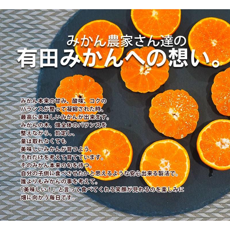 2025年 ご予約開始 お歳暮 2025 冬ギフト プレゼント ギフト みかん 有田みかん 50〜60玉(約3kg) 木箱入り 豪華 完熟みかん 送料無料 |  | 20