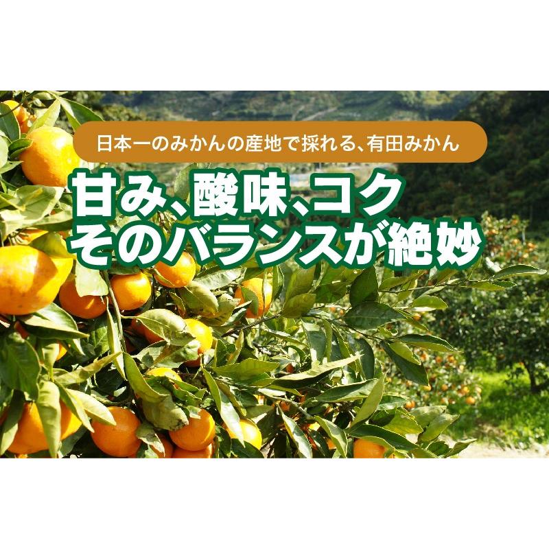 2025年 ご予約開始 お歳暮 2025 冬ギフト プレゼント ギフト みかん 有田みかん 50〜60玉(約3kg) 木箱入り 豪華 完熟みかん 送料無料 |  | 03