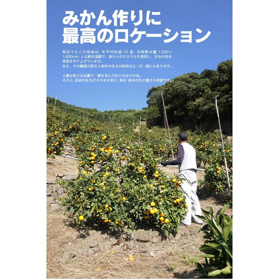 2025年 ご予約開始 お歳暮 2025 冬ギフト プレゼント ギフト みかん 有田みかん 50〜60玉(約3kg) 木箱入り 豪華 完熟みかん 送料無料 |  | 04