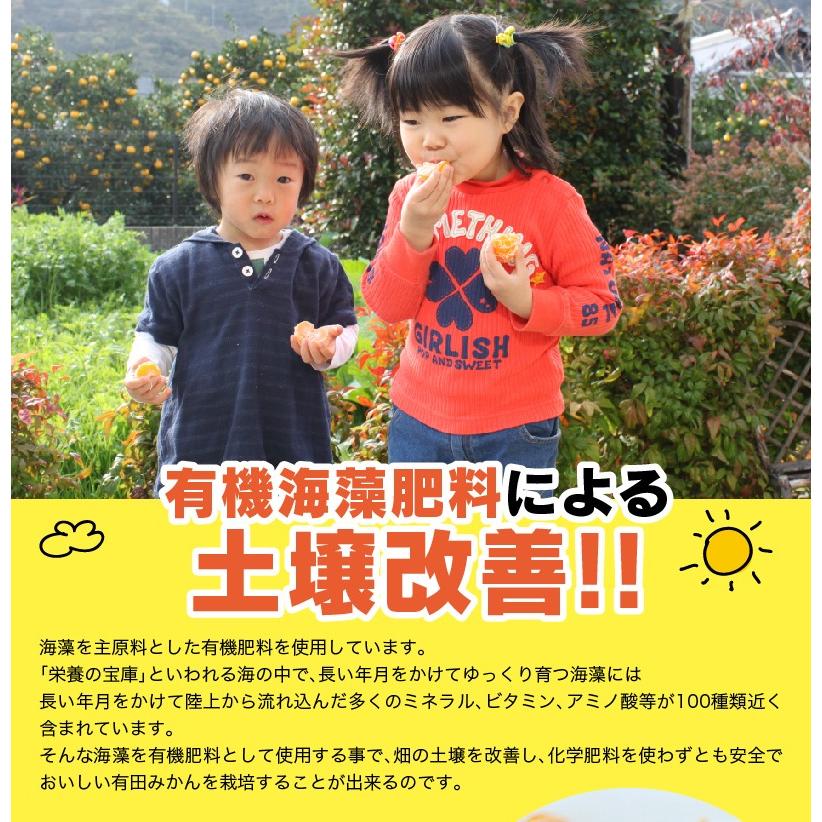 2025年 ご予約開始 お歳暮 2025 冬ギフト プレゼント ギフト みかん 有田みかん 50〜60玉(約3kg) 木箱入り 豪華 完熟みかん 送料無料 |  | 08