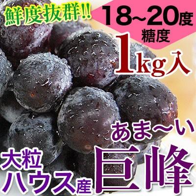 2024年ご予約開始！ 鮮度抜群！朝採り巨峰1kg（2〜4房入）■ハウス栽培■糖度18〜20度！大変みずみずしく、甘さたっぷりの大粒ぶどう　(fy5)｜bundara