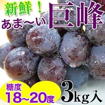 2025年 ご予約開始！ 巨峰3kg（6〜9房入）<和歌山県 有田巨峰村の朝採り巨峰大変みずみずしく、甘さたっぷりコクのあるぶどう※種にご注意下さい。　(fy8)