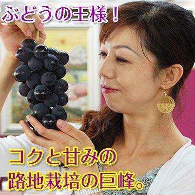 2025年 ご予約開始！ 巨峰3kg（6〜9房入）<和歌山県 有田巨峰村の朝採り巨峰大変みずみずしく、甘さたっぷりコクのあるぶどう※種にご注意下さい。　(fy8)