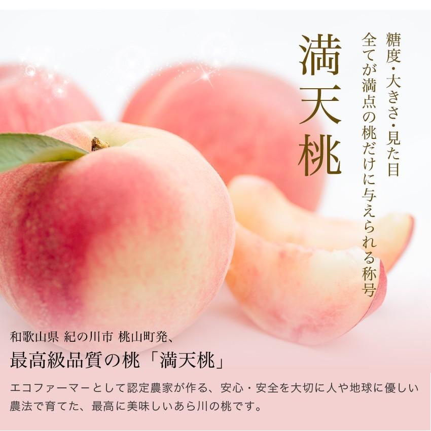 2025年 ご予約受付中 紀州の最高級ブランド桃 あら川の桃 満天桃5L(3玉