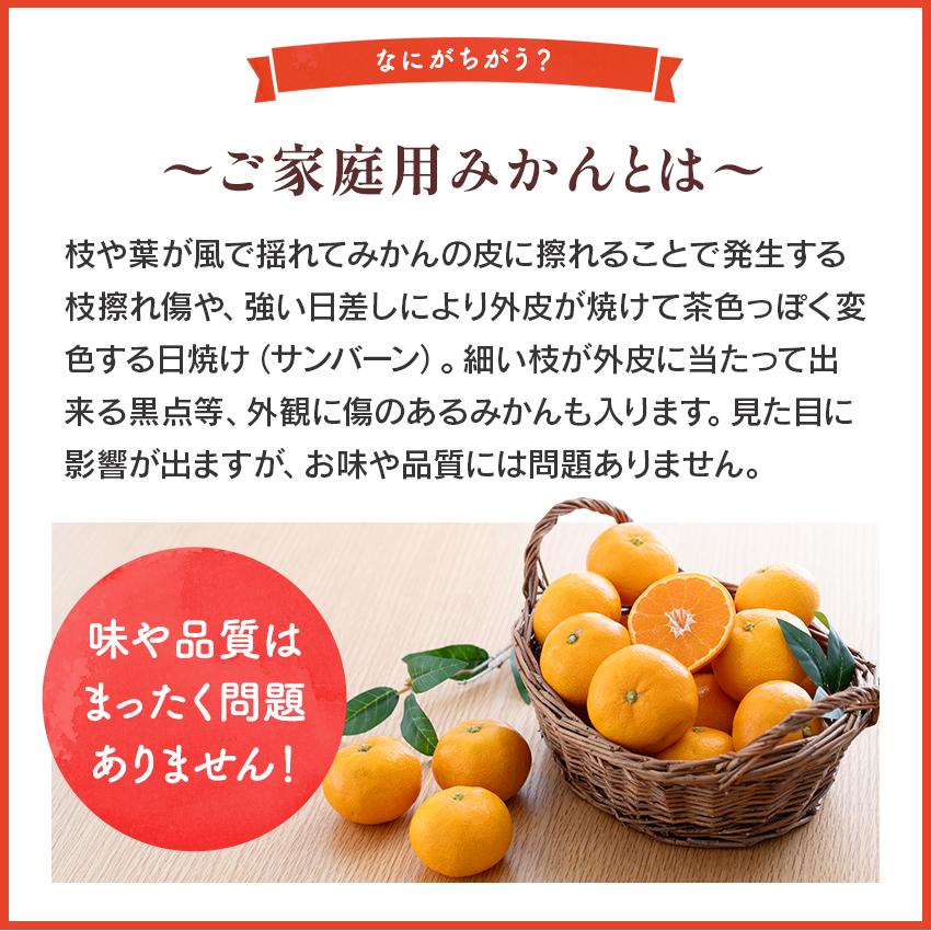 まとめ購入確認用1200■ THANKSGIVING LIVE 2010 まとめ購入確認用1200□ THANKSGIVING LIVE 2010