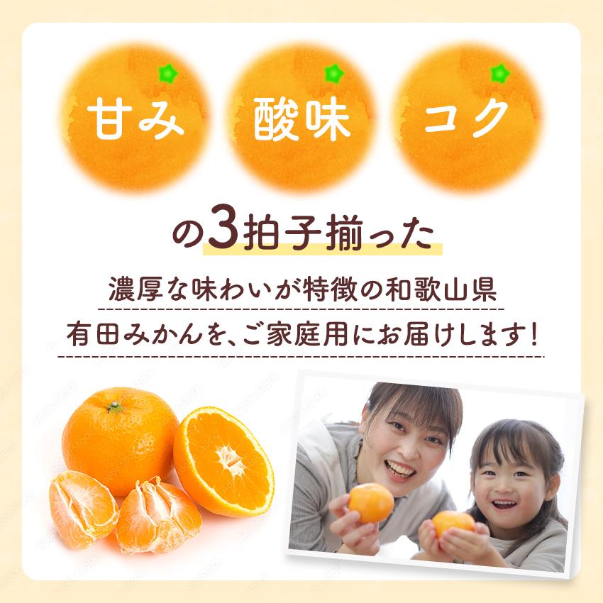 まとめ購入確認用1200■ THANKSGIVING LIVE 2010 2.有田みかん「未来への虹」（10kg）(A2-2) - 東急ふるさとパレット
