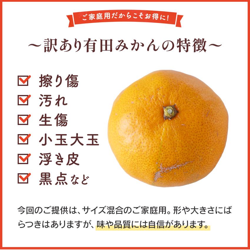 2025年 ご予約受付中 本場有田みかんをご家庭で手軽に お得な 家庭用