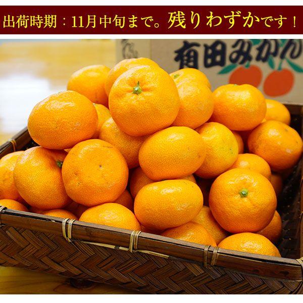 みかん あけぼの 2025年 ご予約開始 有田みかん極早生品種の最高峰！ 幻の