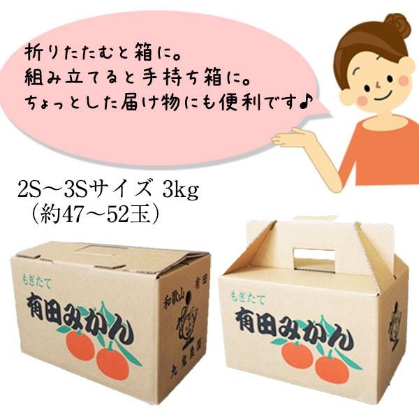 あけぼの 2025年 ご予約開始 有田みかん極早生品種の最高峰！ 幻の
